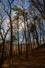 Obraz na płótnie Canvas Mountains, Fields and Forests, Edale, Peak District, England, UK