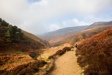 Mountains, Fields and Forests, Edale, Peak District, England, UK