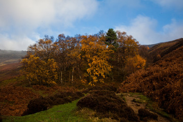 Mountains, Fields and Forests, Edale, Peak District, England, UK