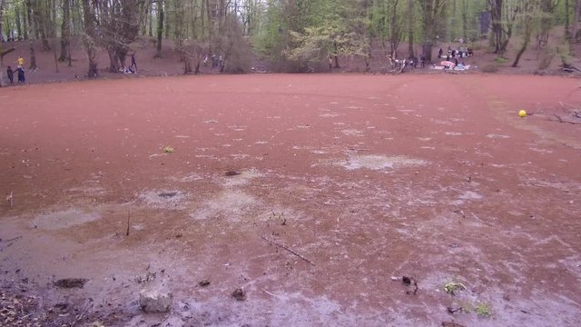 Hesel Bilder Durchsuchen 34 Archivfotos, und Videos