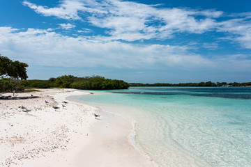 Tropical white beach in Francisky island (Los Roques Archipelago, Venezuela).