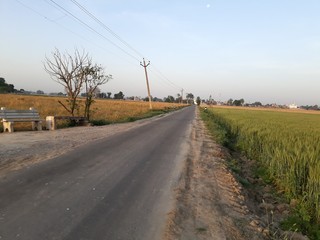road in the middle of the field