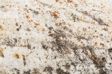 Stone Texture Natural Macro