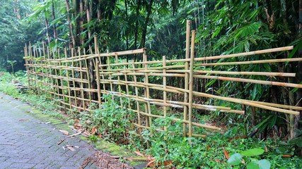 bamboo fence at the edge of the village road in the morning. bamboo trees, bushes and asphalt roads