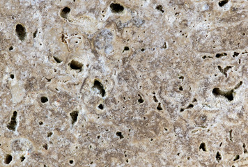 Macro shot of cut stone. Spongy - porous structure of stone.