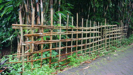 bamboo fence at the edge of the village road in the morning. bamboo trees, bushes and asphalt roads