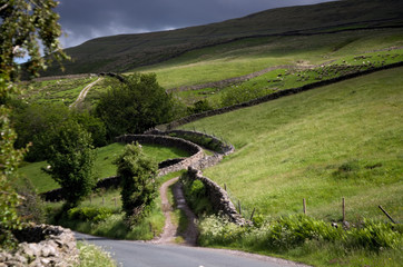 Winding country lane in the Yorkshire Dales