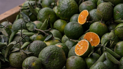 fresh oranges in market