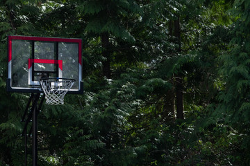 basketball, basketball hoop, sports, basketball practice, outdoor sport, outdoor sports, healthy