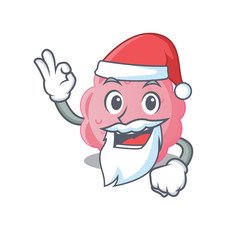Anaplasma phagocytophilum Santa cartoon character with cute ok finger