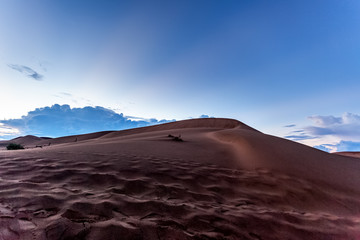 Farmous travel location, Nam Cuong sand hill, Phan Rang city, Ninh Thuan province, Vietnam
