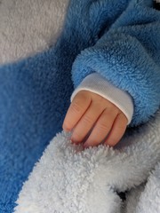 close up of newborn baby feet