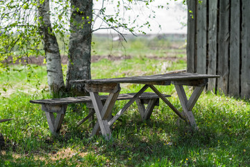 wooden bench in the garden