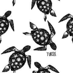 sea turtles Pattern on white background 