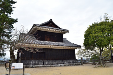 Fototapeta premium 愛媛県松山市「松山城」