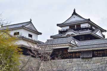 愛媛県松山市「松山城」