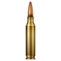 high caliber bullet in full color