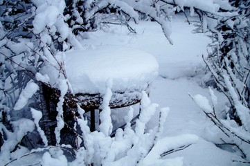 snowy table in the winter garden