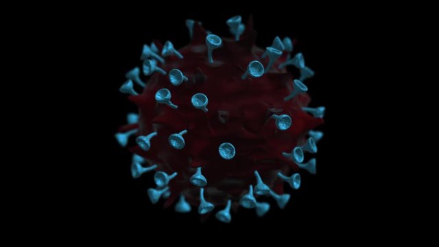 3d render closeup of red colored corona virus on black background. HD seamless loop animation.