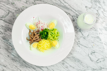 cooking Russian dishes okroshka, ingredients, beautiful presentation