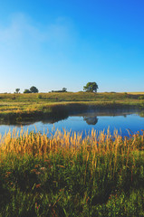 landscape with river and trees
