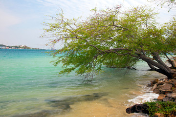 Fototapeta na wymiar Thailand nature landscape. Tourism background with sea beach. Holiday journey destination