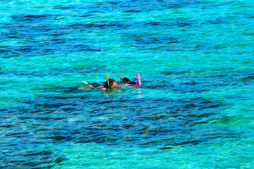 Obraz na płótnie Canvas Paradise beach on tropical island. 