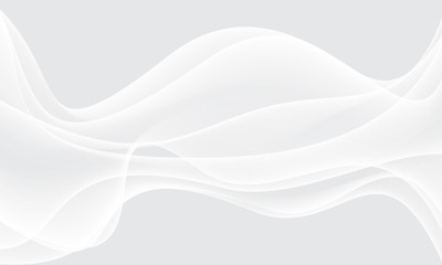 Abstract white wave curve on grey luxury background vector illustration.