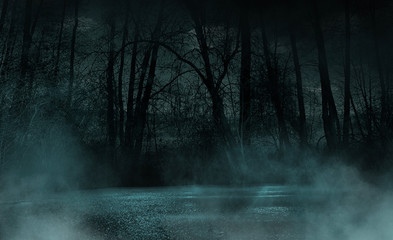 Fototapeta na wymiar Dark gloomy forest. Night in the forest. Nature scene with forest and moonlight. Night view of the forest, nature, fog, smog, smoke.