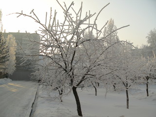 Fototapeta na wymiar winter city park, a lot of snow