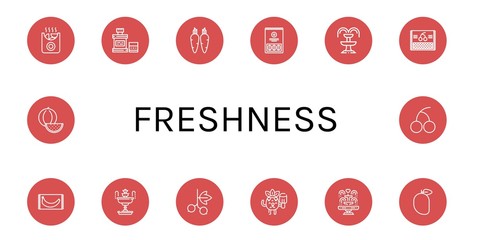 freshness simple icons set