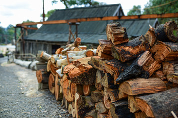 Trees were cut and prepared for firewood to provide warmth during the cold season.