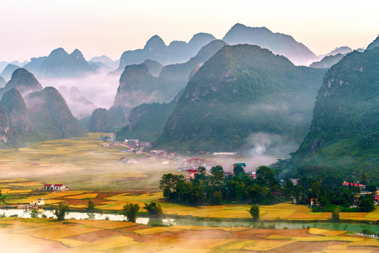 Rice and rice field in Trung Khanh, Cao Bang, Vietnam. Landscape of area Trung Khanh, Cao
