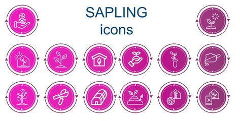 Editable 14 sapling icons for web and mobile