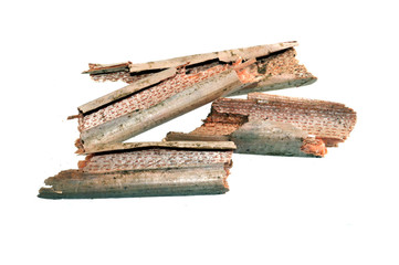 reeds isolated on white background