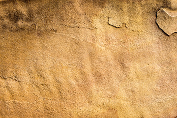 wood texture background