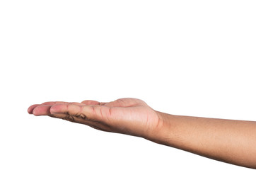 Open men hand on a white background