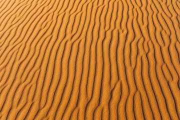 Orange texture of sand dune. Abstract shape, background, shadow and sun light. Sahara desert.