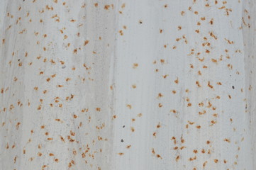 Zinc surface pattern with rust stains attached