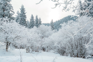 Early morning winter mountain landscape