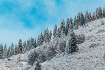 Early morning winter mountain landscape