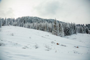 Fototapeta na wymiar Early morning winter mountain landscape