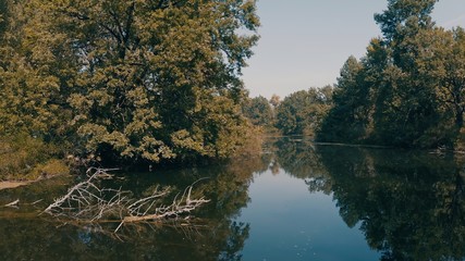 movement of the boat along the mysterious river channel between the dangerous snags sticking out of...