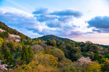 清水の舞台から子安塔を望む