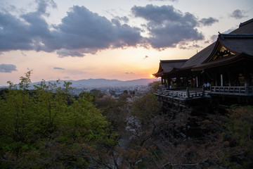Fototapeta premium 清水寺の本堂とサクラ