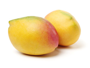 Mango on a white background