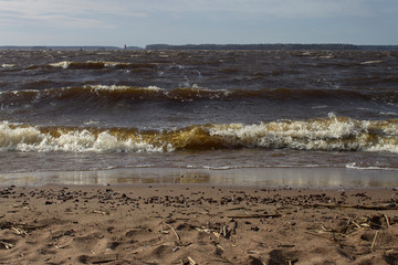 Fototapeta na wymiar North sea waves and a sandy beach