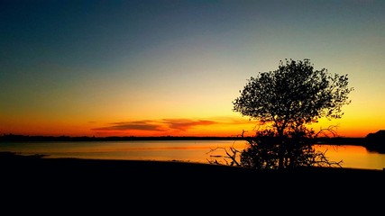 Fototapeta na wymiar Silhouette Tree By Lake Against Sky During Sunset