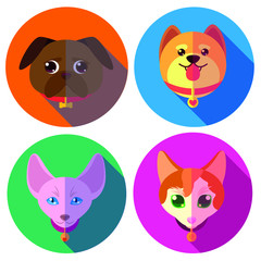 Set: animals (dogs and cats)