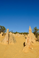 Fototapeta na wymiar A view of the Pinnacles at Cervantes in Western Australia